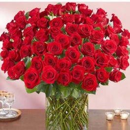 100 Red Roses