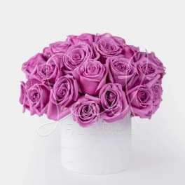 Rose Glam Collection - Lavender VDAY