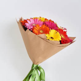Wrapped Sweet Gerberas