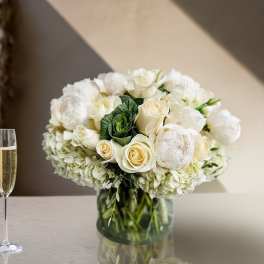 White Peony Elegance