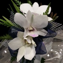 'Dress Blues' White Orchid and Navy Wrist Corsage