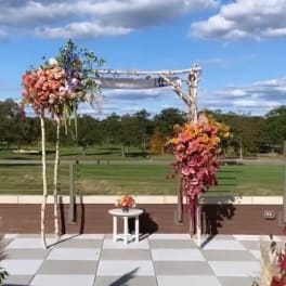 RENTAL Birch Chuppah ***with no decor or flowers