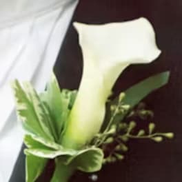 Calla Boutonniere by Love and Bloom