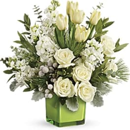 Teleflora's Winter Pop Bouquet