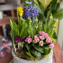 Potted spring planter with purple hyacinth, yellow daffodil, and pink flowers in a white pot.