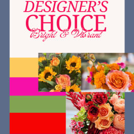 Designer's Choice - Bright & Colorful