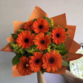 Bouquet of bright orange gerbera daisies with yellow filler wrapped in orange paper