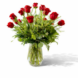 Dozen Long Stemmed Red Roses
