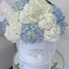 It's a Boy Signature Box - Hydrangeas