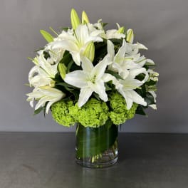LILY COLLECTION - LILIES AND HYDRANGEAS