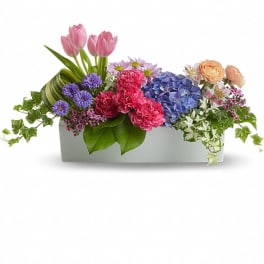 Low rectangular centerpiece with pink tulips, carnations, blue hydrangea and mixed blooms in a white container