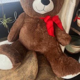 22" Valentines Teddy Bear