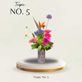Tropic No. 5