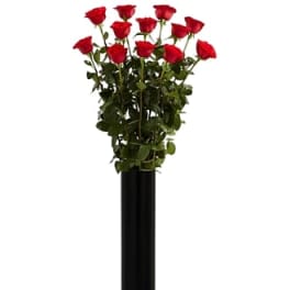 Extra Long Stemmed Red Rose