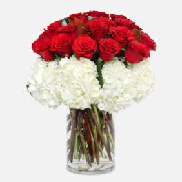 Elegant 24 Red Roses & Hydrangeas Bouquet