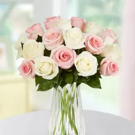 Lovely Mom Roses