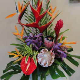 Exotic Floral explosion package