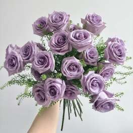 Lavender Roses