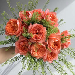 Coral Roses
