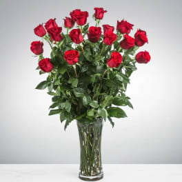 Two Dozen Long Stemmed Roses by BloomNation™