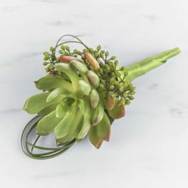 Succulent Boutonnière by BloomNation™