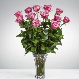 A Dozen Long Stemmed Lavender Roses by BloomNation™
