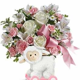 Teleflora's Sweet Little Lamb - Baby Pink