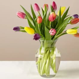 Mixed-color tulips arranged in a clear glass vase of water on a light surface