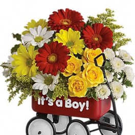 Baby's Wow Wagon by Teleflora - Boy