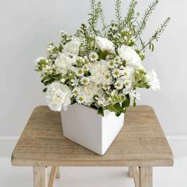 Pure White Carnations Elegance Vase
