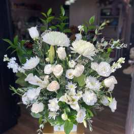 White Harmony Sympathy Arrangement