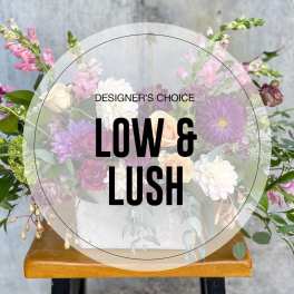 Designer's Choice - Low and Lush