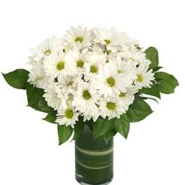 White daisy bouquet in a green glass vase