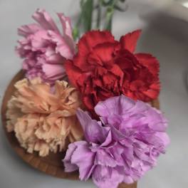 Bouquet of colorful carnations in a round container