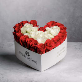 Red and White Heart