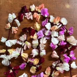 Scattered small blossoms in pink, white, peach, and burgundy on a wooden surface