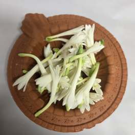 White tuberose flowers arranged in a brown dish