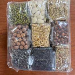Assorted seeds packed in clear plastic compartments on a wooden surface