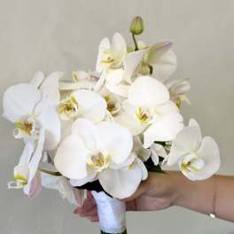 White Phalaenopsis Dream Bouquet