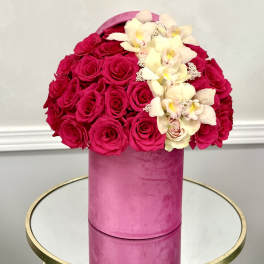Love in Velvet By VLM Flowers