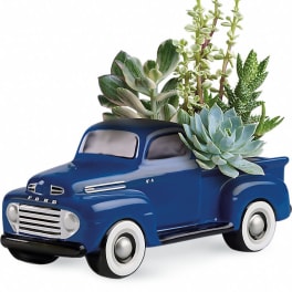 Blue pickup truck planter with assorted succulents
