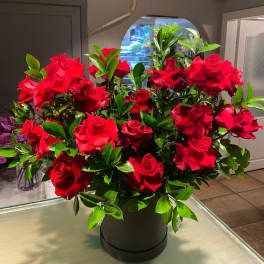 Red roses arranged in a black hatbox with glossy green foliage.