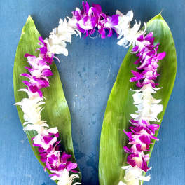 Purple and white orchid lei on green leaves against a blue background