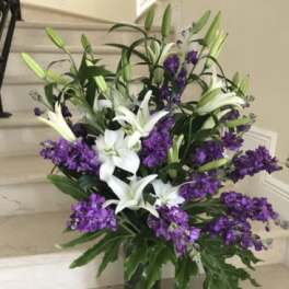 White Lilies and fragrant Purple Stock
