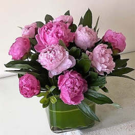 Peonies arranged in a glass vase.