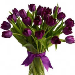 20 Purple Tulips arranged in a vase