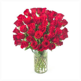 50 Premium Red Roses arranged Round in a glass vase
