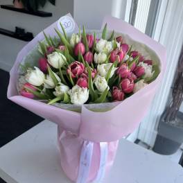 Bouquet of pink and white tulips wrapped in pale pink paper