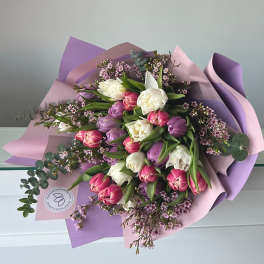 Bouquet of tulips