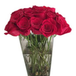 36 Red Roses. Love on the Rocks with 36 Roses